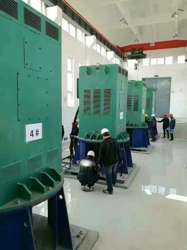 东宝某污水处理厂使用我厂的立式高压电机安装现场